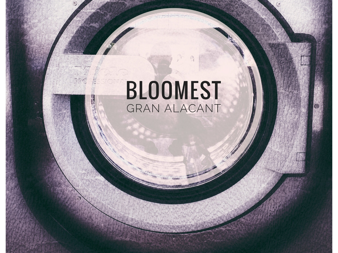 Bloomest By Miele-圣波拉必去景点