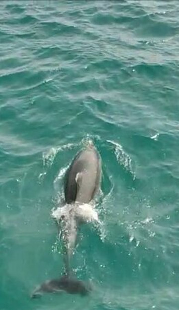 Costasol Cruceros-班纳玛德纳必去景点