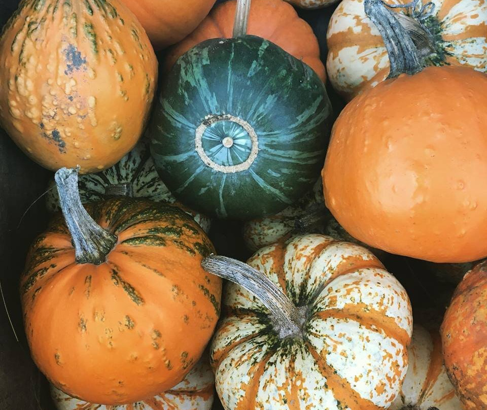 Vergers Rockburn Orchards-Hinchinbrooke必去景点