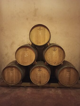 Bodega Las Virtudes景点图片