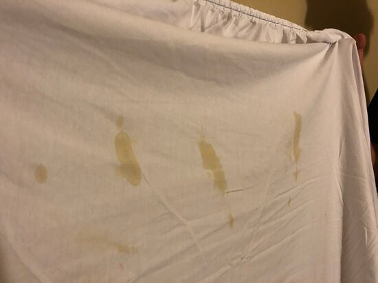 Best Western Plus The Charles Hotel主图