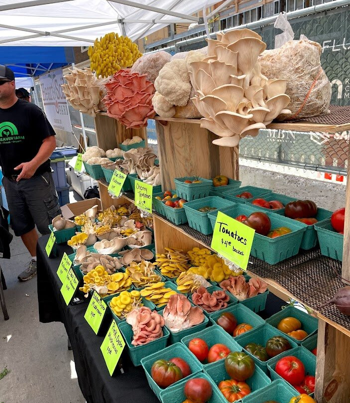 Red River Market-法戈必去景点