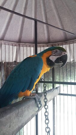 Hotel Fazenda Jecava主图