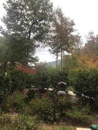 Outland Chalet & Suites Great Smoky Mountains主图