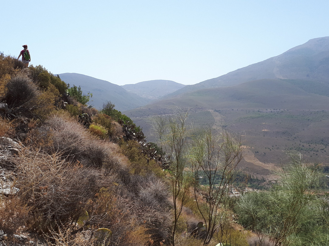 Camping Cortijo La Lomilla