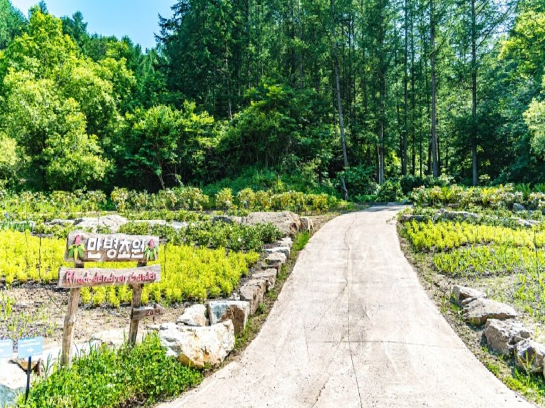 Baekdudaegan National Arboretum