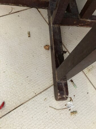 Santa Monica Palace Hotel主图