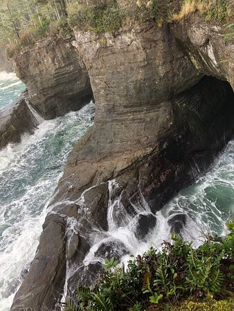 Cape Flattery Trail景点图片