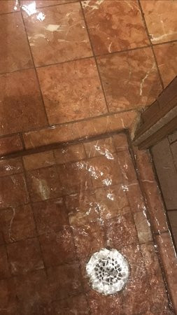 米开朗基罗酒店主图