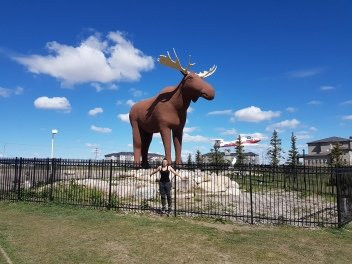 Mac the Moose Monument景点图片