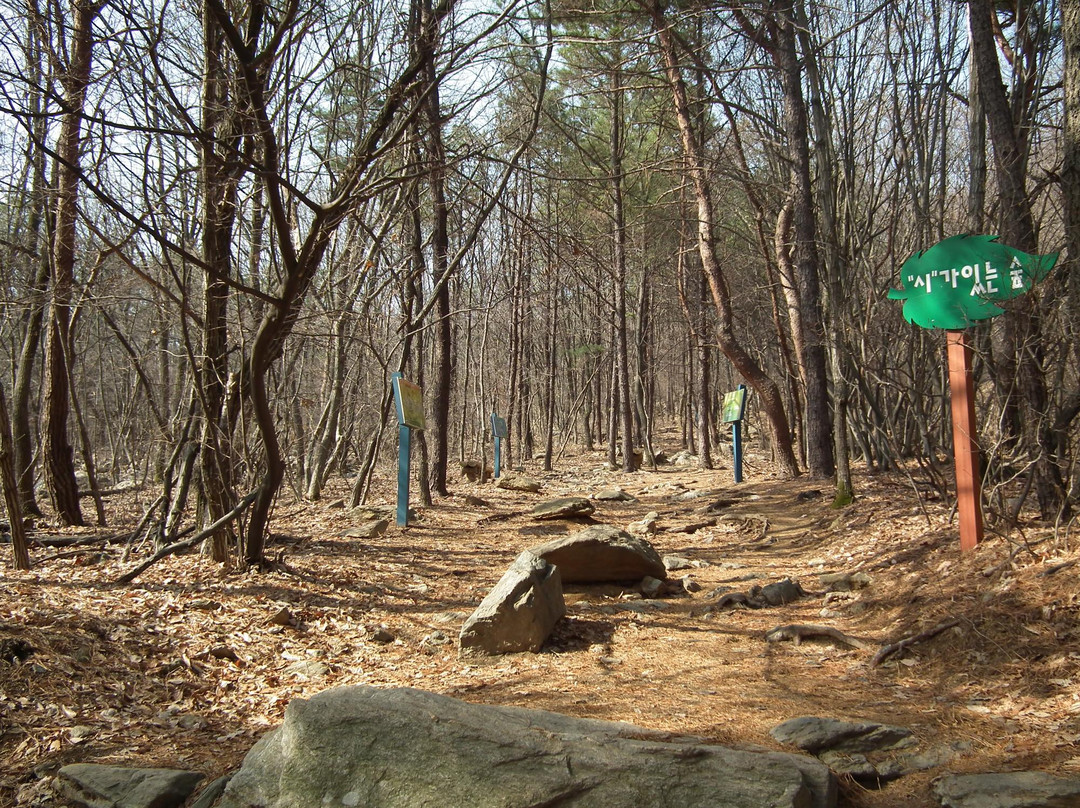 Surisan Land-军浦市必去景点