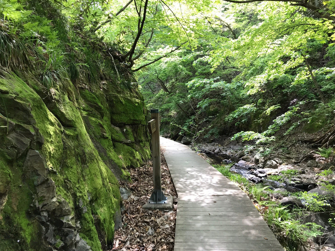 Jigokudani Walking Path景点图片