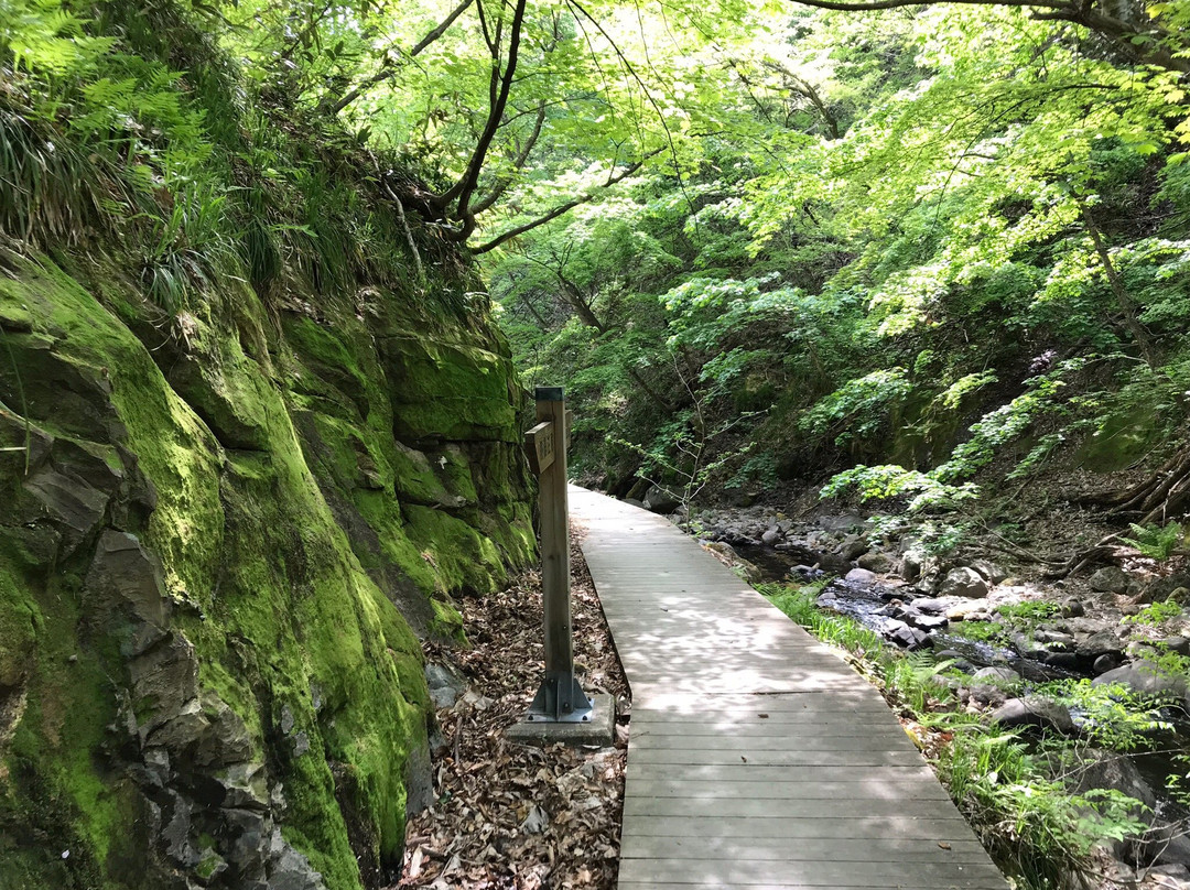 大崎市旅游景点-Jigokudani Walking Path