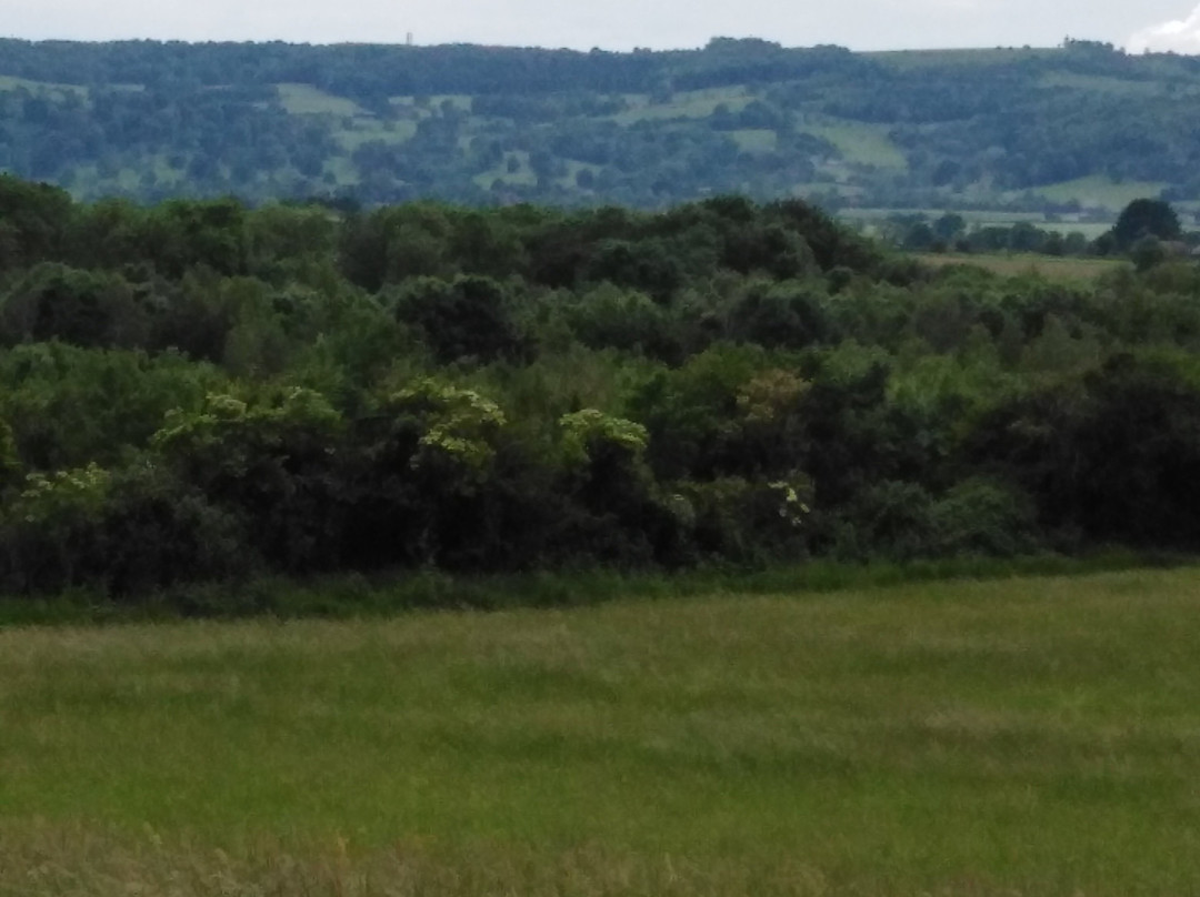 Evesham Vale Caravan Park