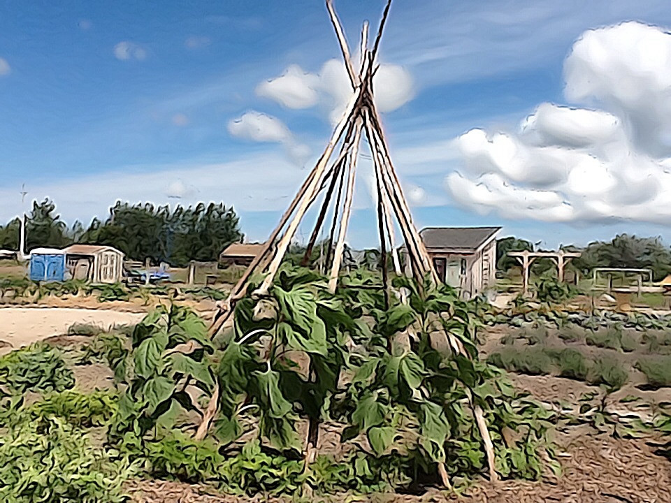 Bruce Botanical Food Gardens景点图片