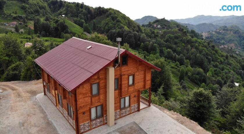 Vera Koy Evi