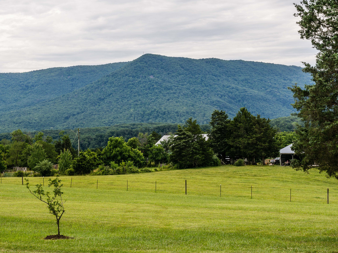 Cedar Creek & Belle Grove National Historical Park景点图片