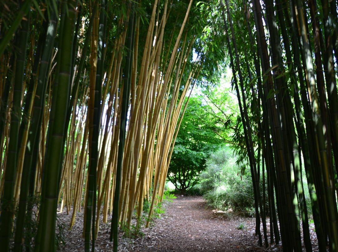 Le Buisson-de-Cadouin旅游攻略图片