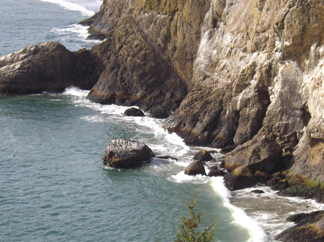 Ilwaco旅游攻略图片