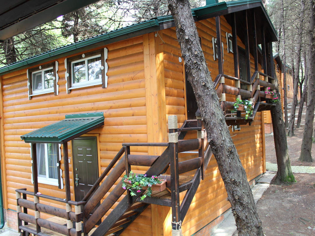 Kiparisovaya Usadba Hotel