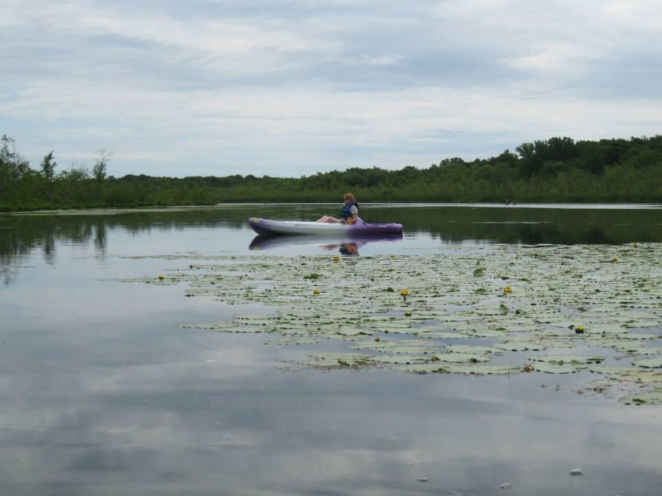 Kayak Shak景点图片