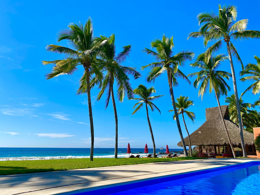 Quemaro旅游攻略图片