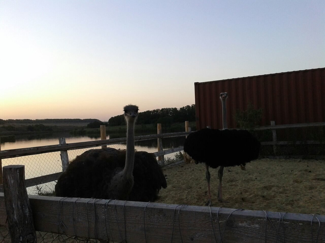 Malinki South Bird Park景点图片