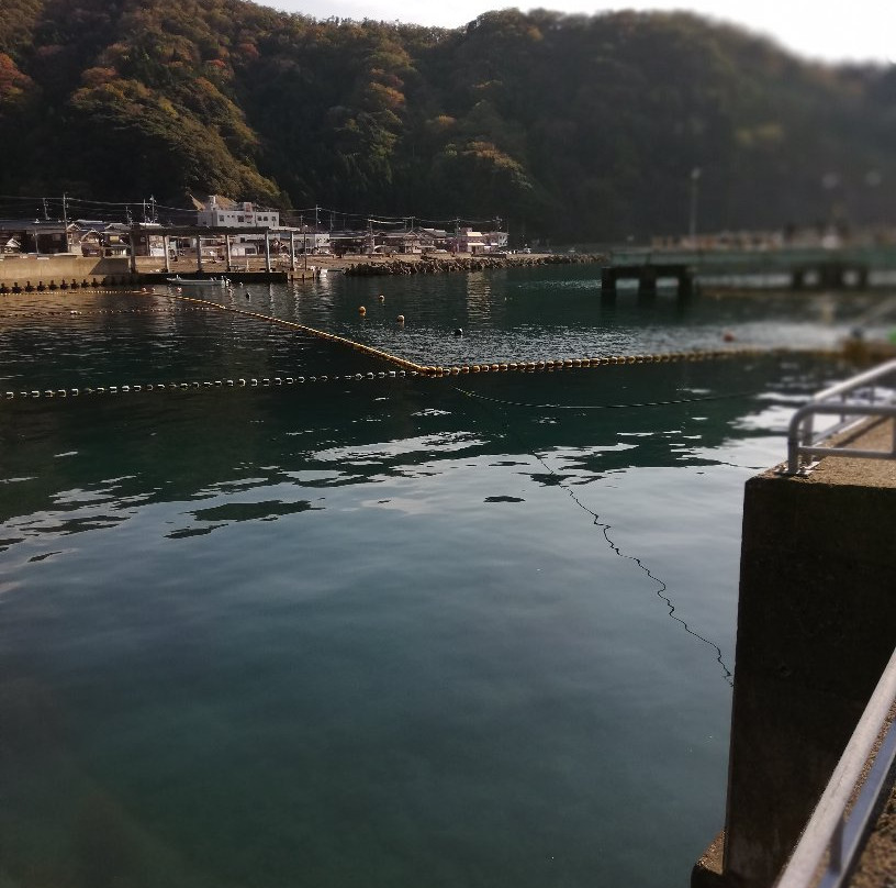 Fishing Park Mikata景点图片