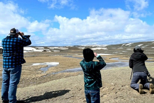 White Pelican Tour Co.