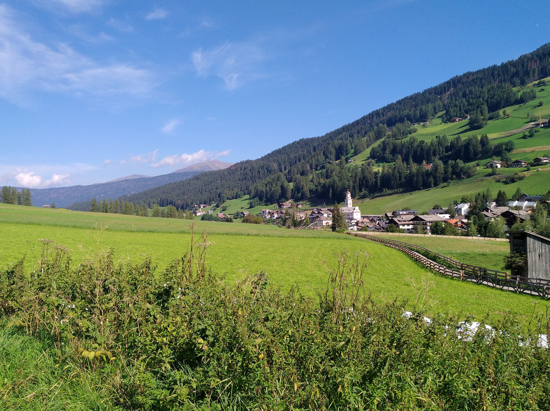Im Wiesengrund Apartments