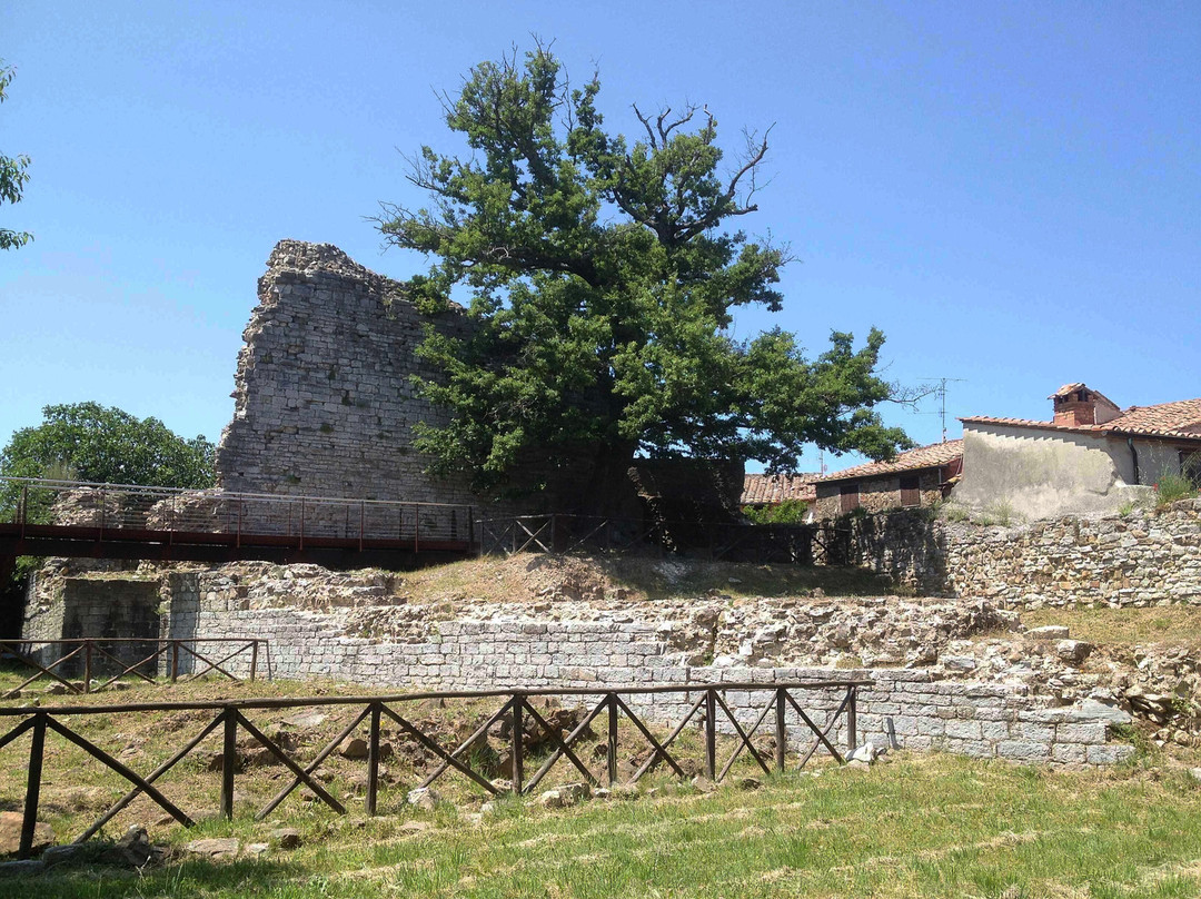 Rocca degli Alberti景点图片