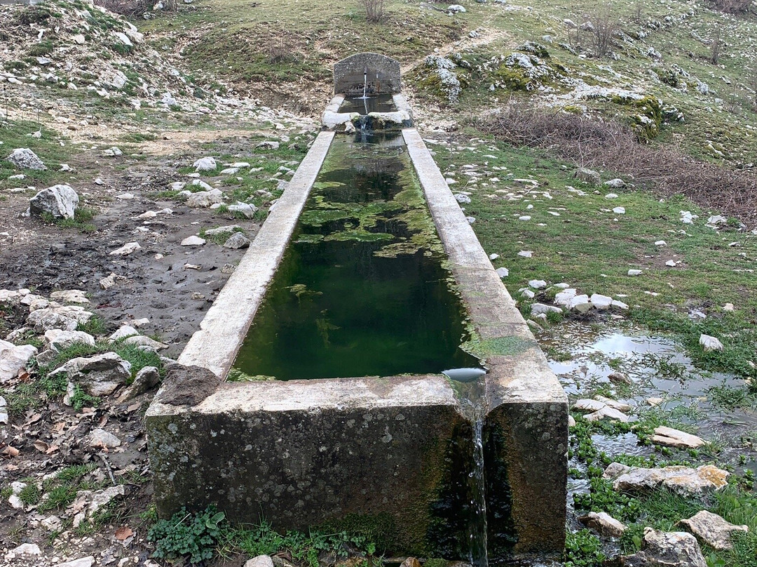 Riserva Naturale Regionale dei Monti Navegna e Cervia景点图片