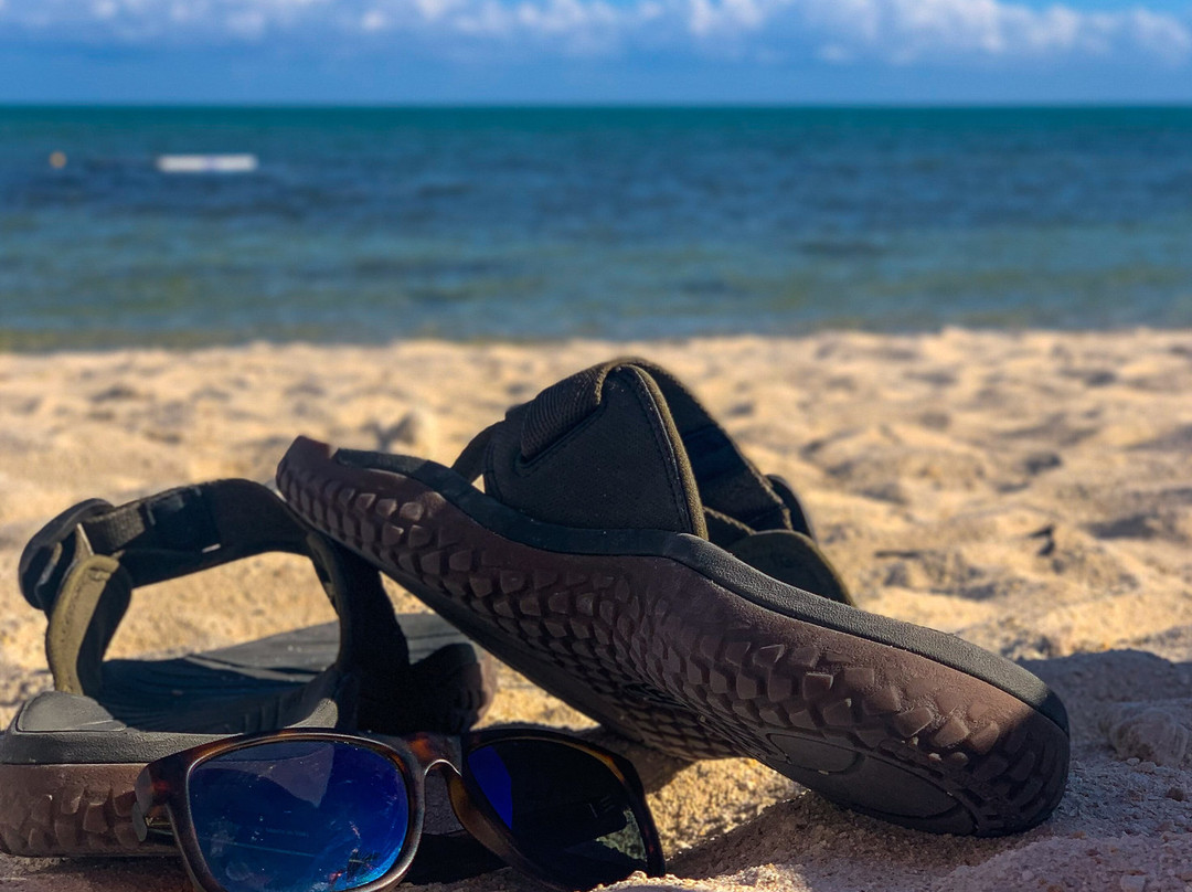 The Islands Of Islamorada主图