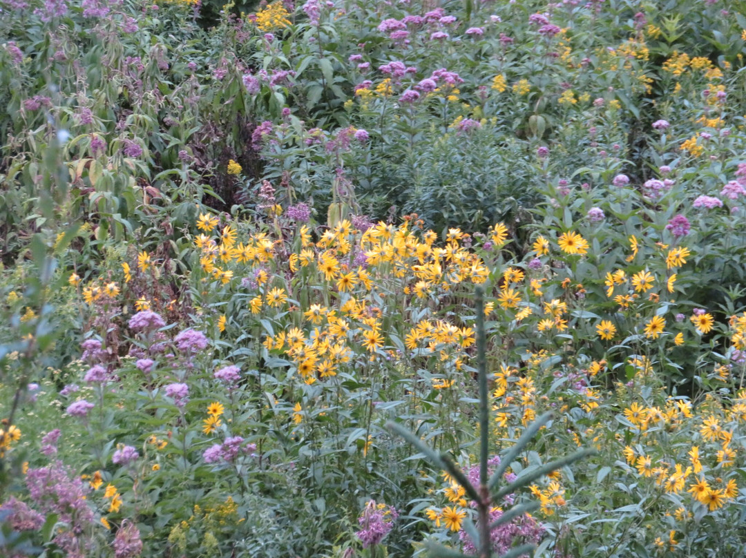 Roughlock Falls-Savoy必去景点