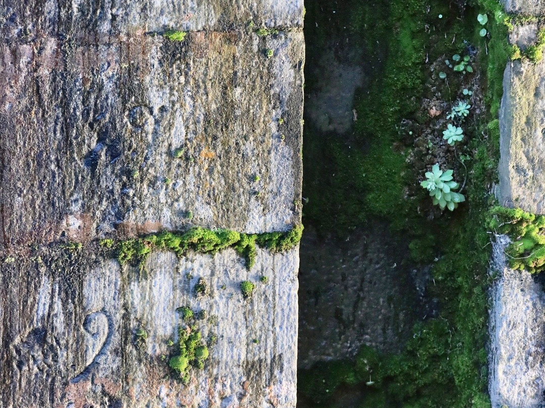 Canal de Brienne (Le)-图卢兹必去景点
