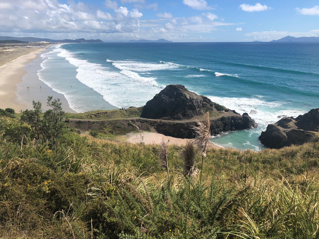 Te Arai Point-Te Arai必去景点
