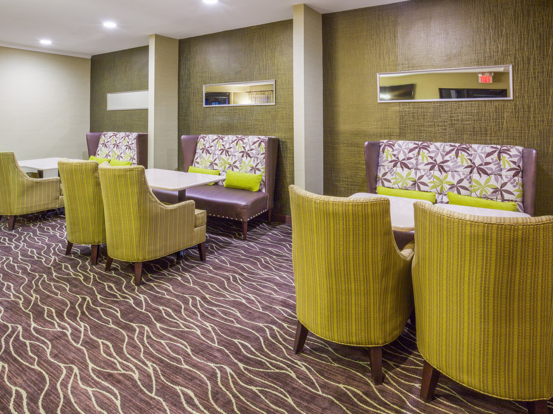 圣保罗 - 伍德伯里智选假日套房酒店主图