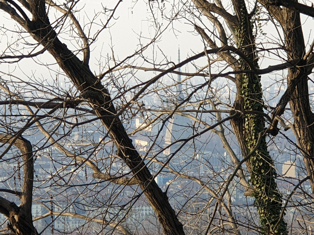 Parco Pubblico Villa Genero-都灵必去景点