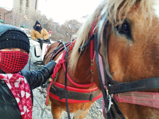 The Hitching Company-明尼阿波利斯必去景点