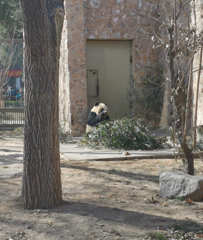 济南动物园-济南市必去景点