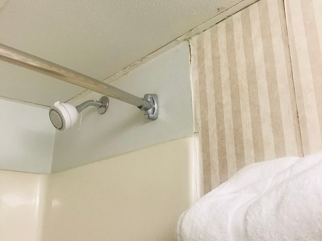 Baymont by Wyndham Bartonsville Poconos主图