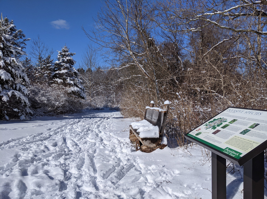 Spruce Acres Farm Trail-米德尔敦必去景点