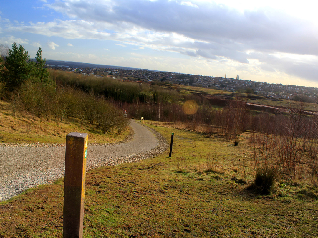 Gedling Country Park景点图片