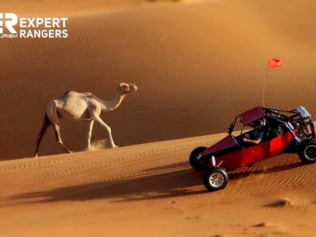 Expert Rangers Tourism-迪拜必去景点
