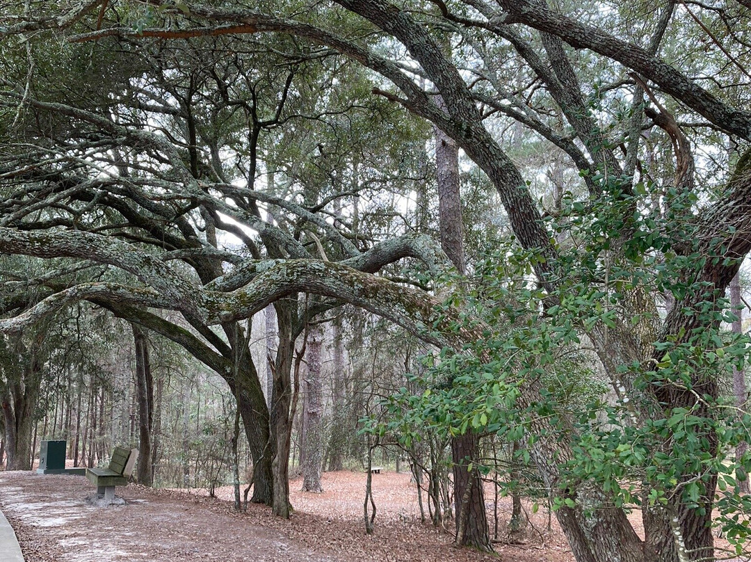 Sesquicentennial State Park-哥伦比亚必去景点