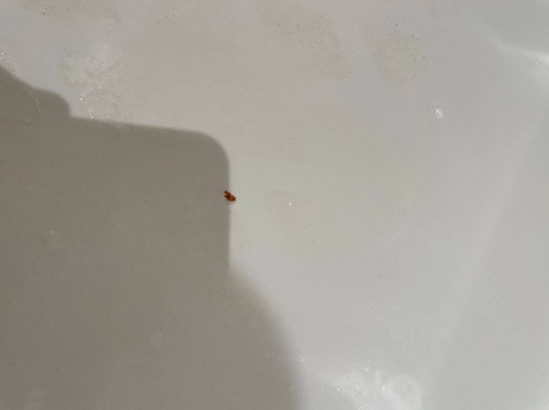 西雅图机场丽筠酒店主图