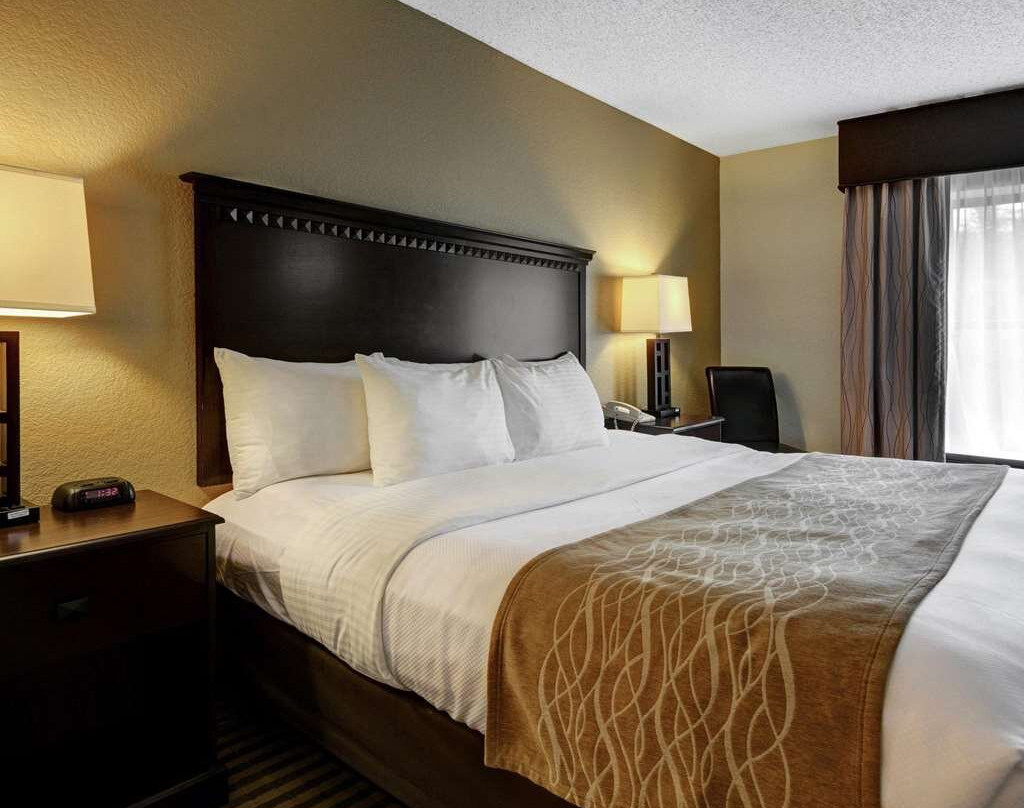 Comfort Inn & Suites主图