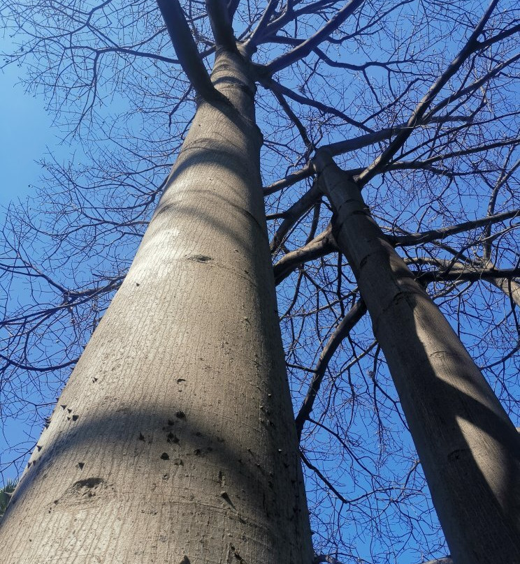 Hotel La Villa Real主图