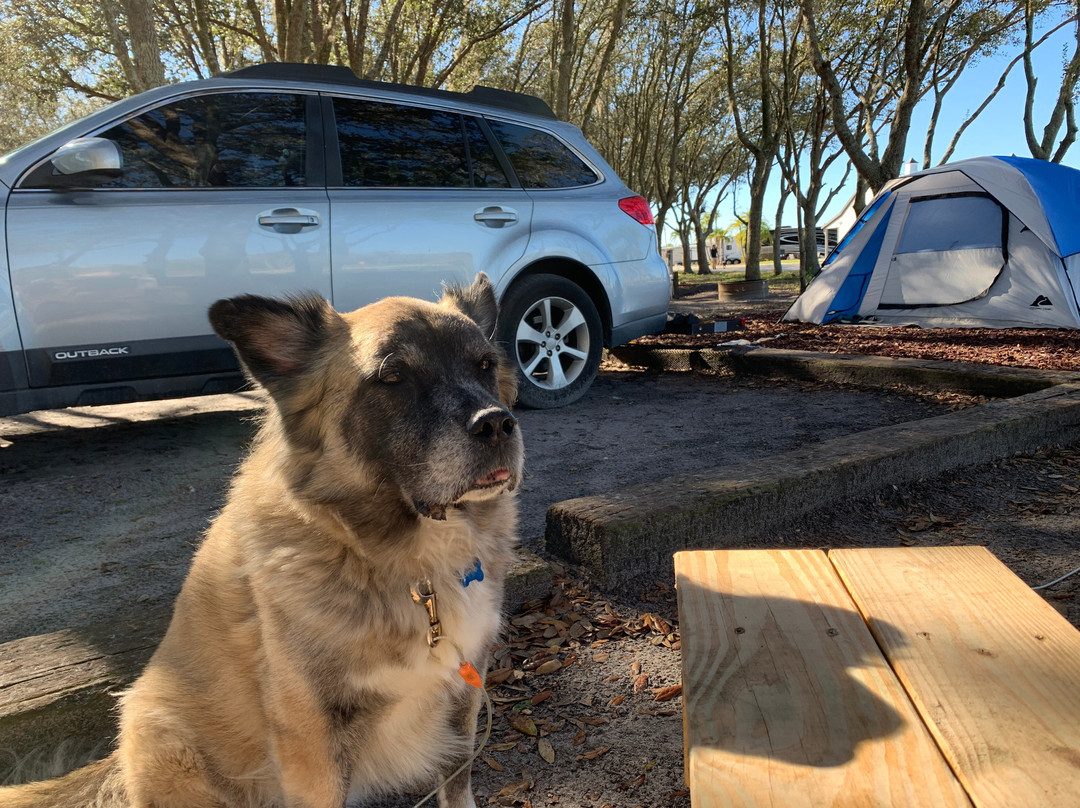 Hunsader Farms-布雷登顿必去景点