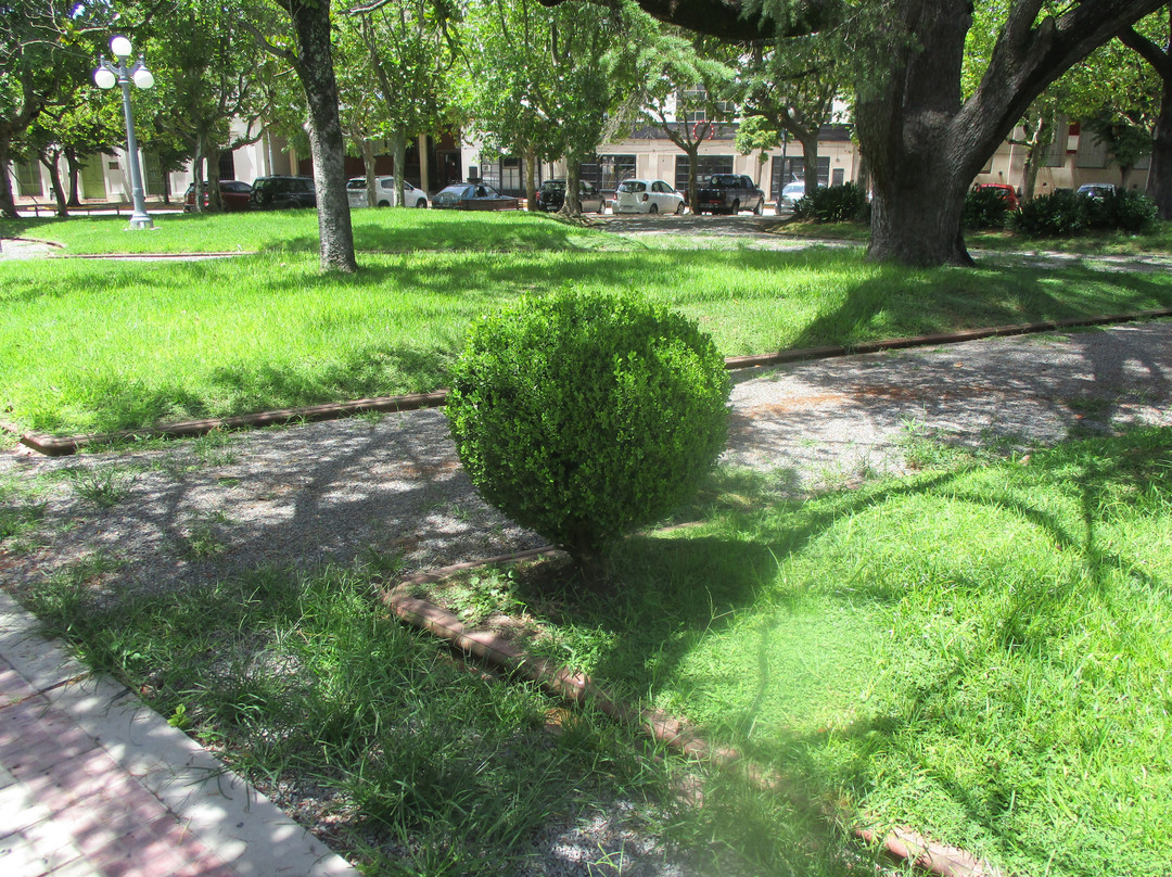 Plaza San Martín景点图片